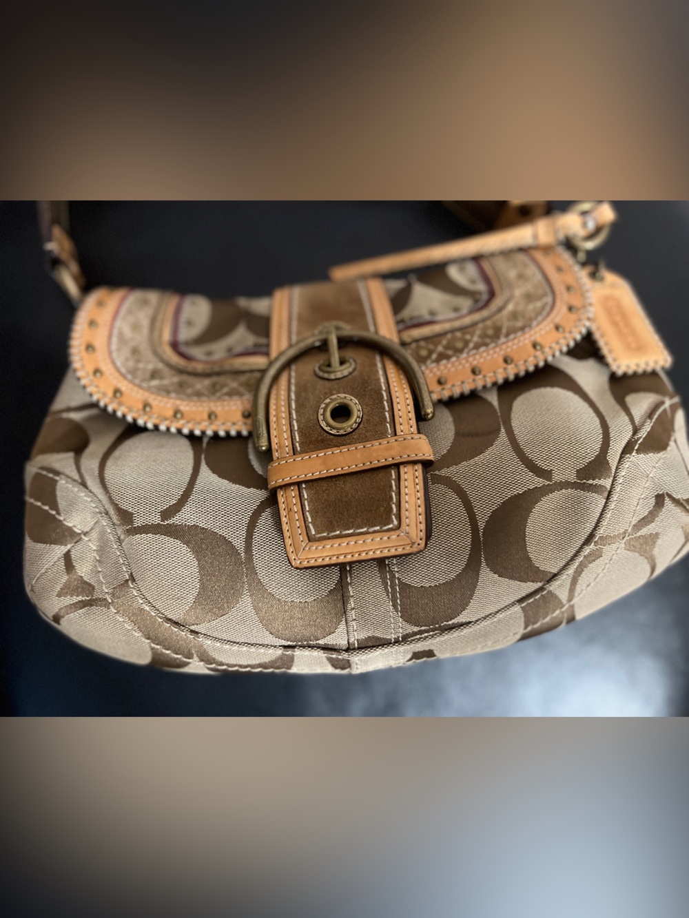 Coach Brown & Tan Signature Leather/Canvas Soho Bag